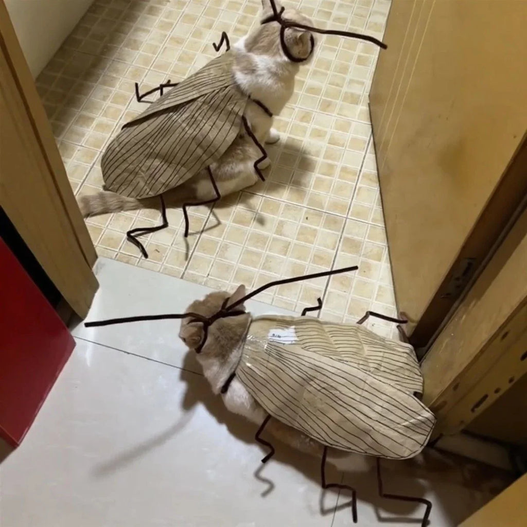 1pack Cat Cockroach Costume Role Play Easy DIY Material Pack Breathable Pet Costume