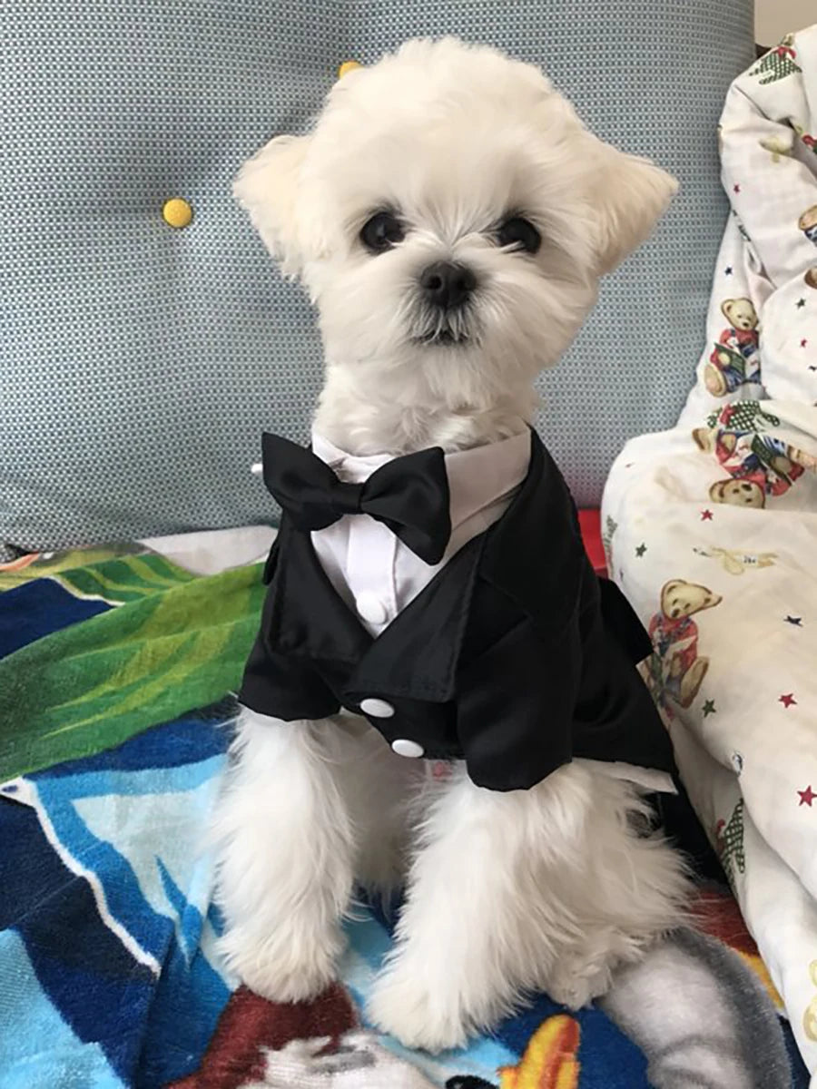 Pet Costume Suits - Lightweight Tuxedos, Suitable for Weddings/Christmas, with Adjustable Bow Ties and Breathable Mesh Fabric