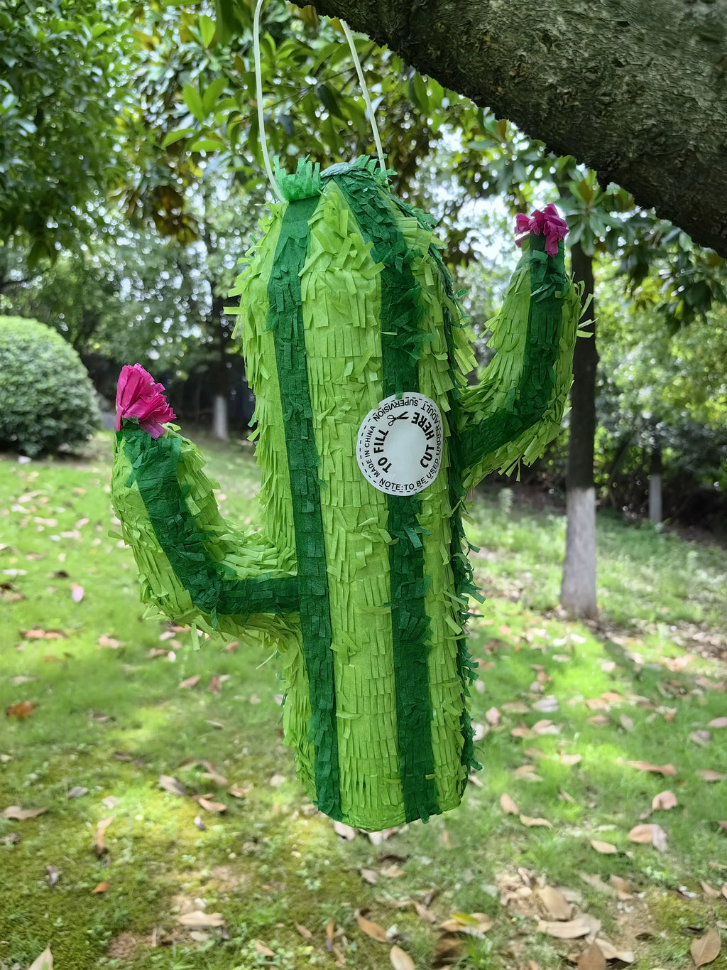 1Set/BOX  Cactus Pinata with Blindfold Bat Piñata Fiesta Cactus Pinata for Birthday Party, Mexican Carnivals Festiva