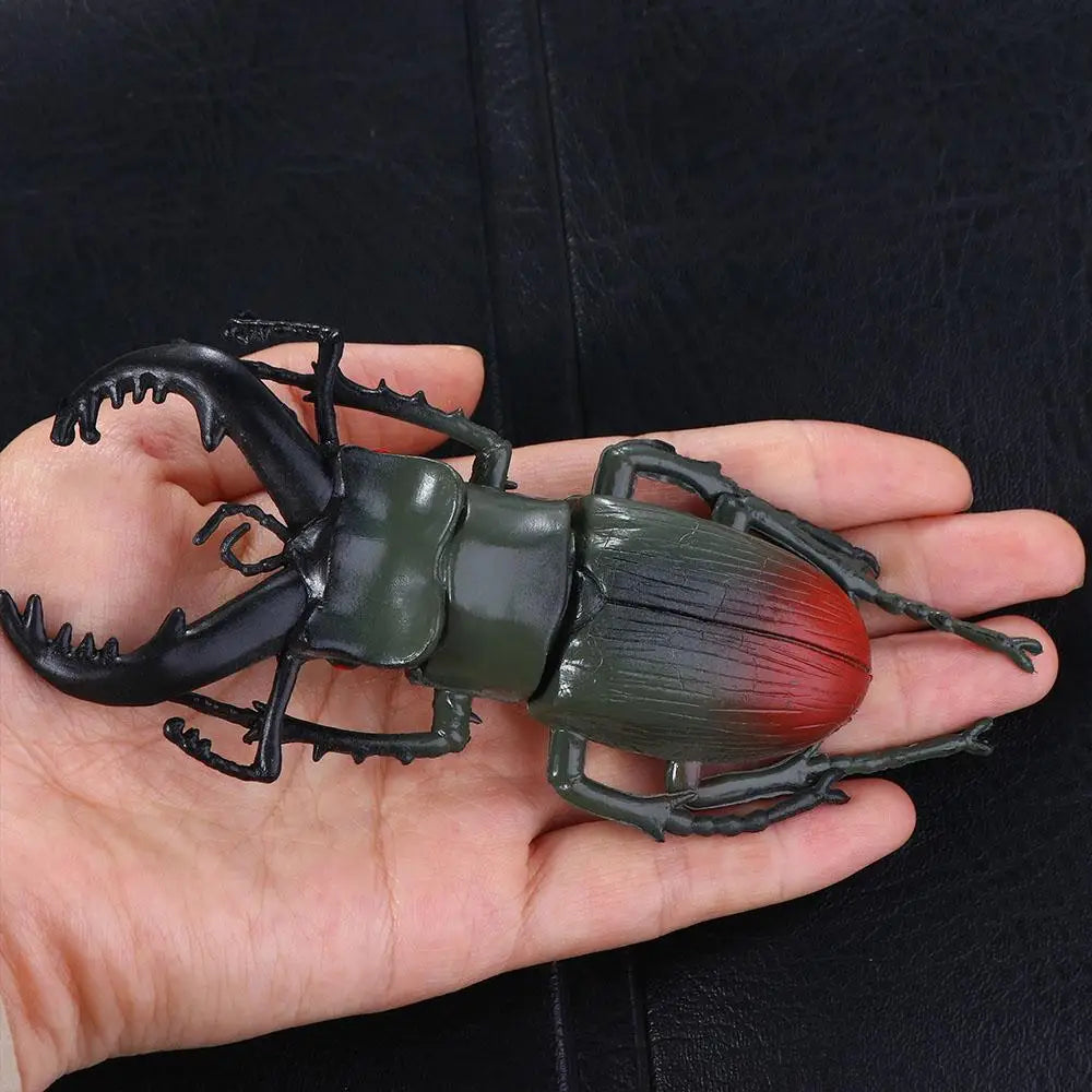 Fake Beetle Joke Insect Simulation Animals Special Lifelike Model Insect Model Beetle Simulation Beetle by Big Tim's Magic Emporium