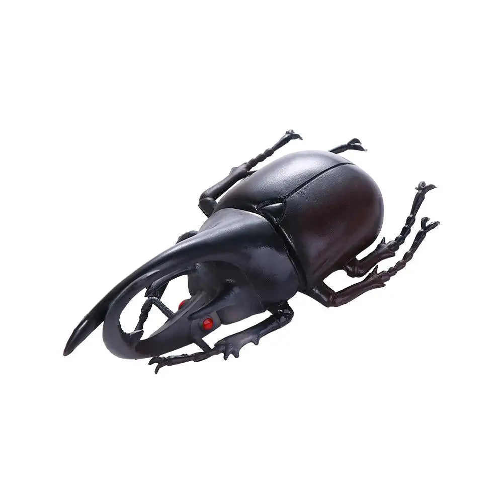 Fake Beetle Joke  Insect  Simulation Animals Special Lifelike Model Insect Model Beetle  Simulation Beetle - Big Tim's Magic Emporium