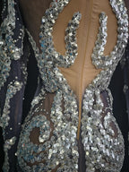 Sparkly Silver Rhinestone & Sequin Sheer Mesh Mini Dress Stage Costume