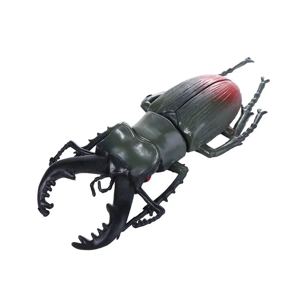 Fake Beetle Joke  Insect  Simulation Animals Special Lifelike Model Insect Model Beetle  Simulation Beetle - Big Tim's Magic Emporium
