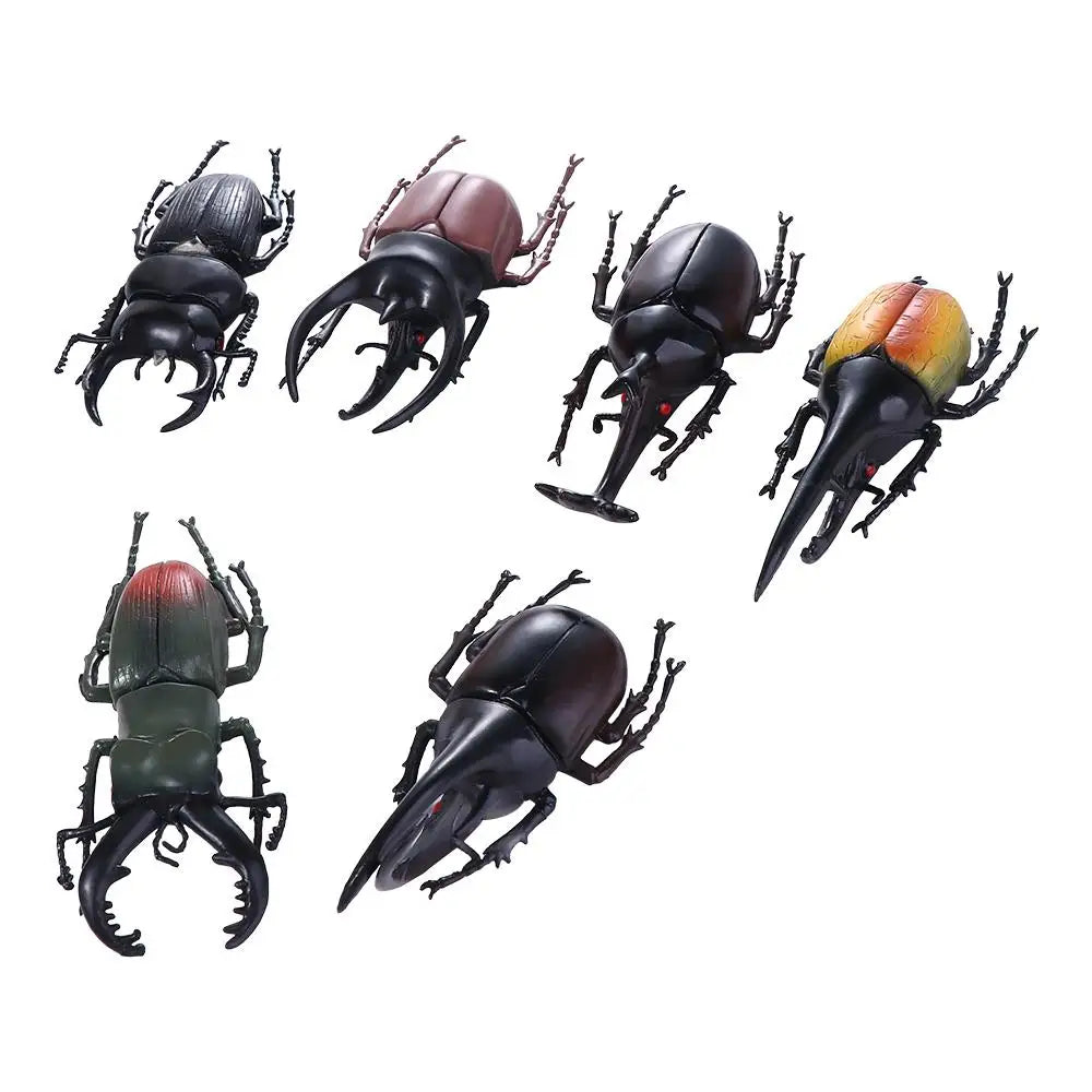 Fake Beetle Joke Insect Simulation Animals Special Lifelike Model Insect Model Beetle Simulation Beetle by Big Tim's Magic Emporium