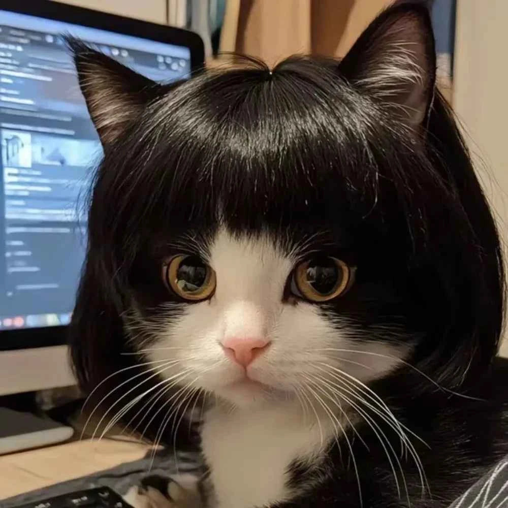 Cute Straight Hair Pet Costume Wig Colorful Funny Cat Cosplay Wig Adjustable Dog Hairpiece Photography