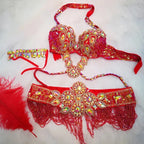 Samba Beaded Belly Dance Costume Set – Women's Bra & Waist Belt for Carnival, Stage & Performance