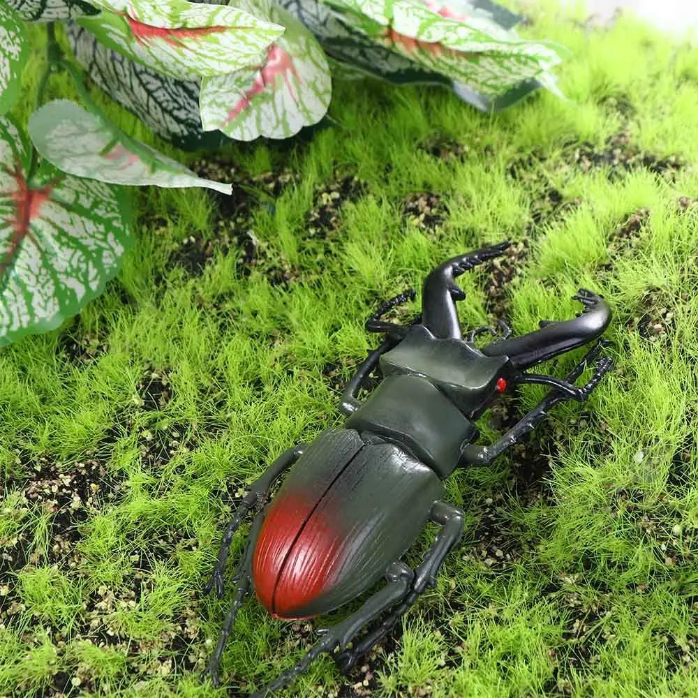 Fake Beetle Joke  Insect  Simulation Animals Special Lifelike Model Insect Model Beetle  Simulation Beetle - Big Tim's Magic Emporium
