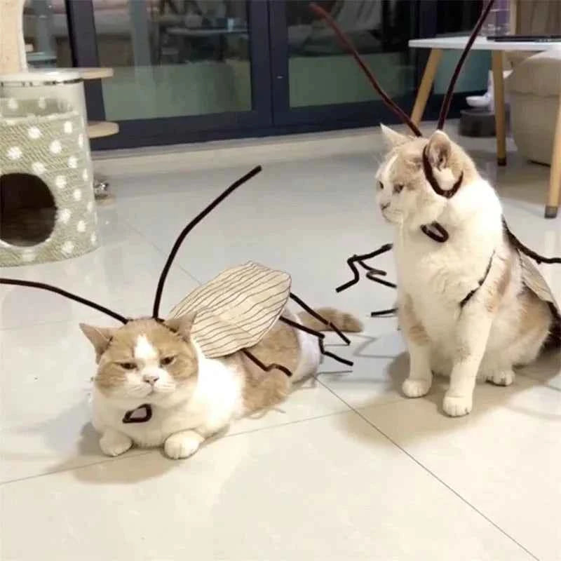 1pack Cat Cockroach Costume Role Play Easy DIY Material Pack Breathable Pet Costume