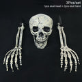 Halloween Skeleton Skull Prop