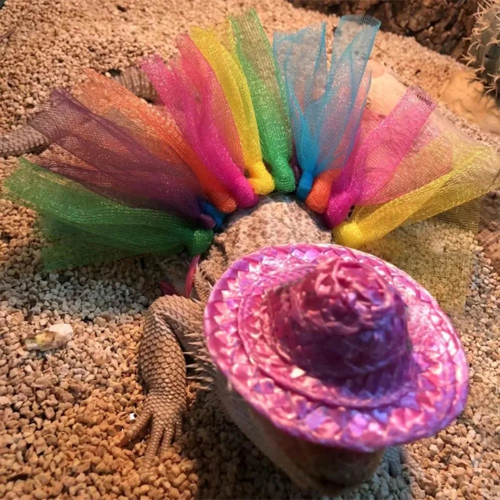 Bearded Dragon Costume Hat for Lizards Tutu Skirt & Reptile Small Pet Costume Outfits Clothes Photo Props for Geckos Hamster Rat