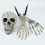 Halloween Skeleton Skull Prop