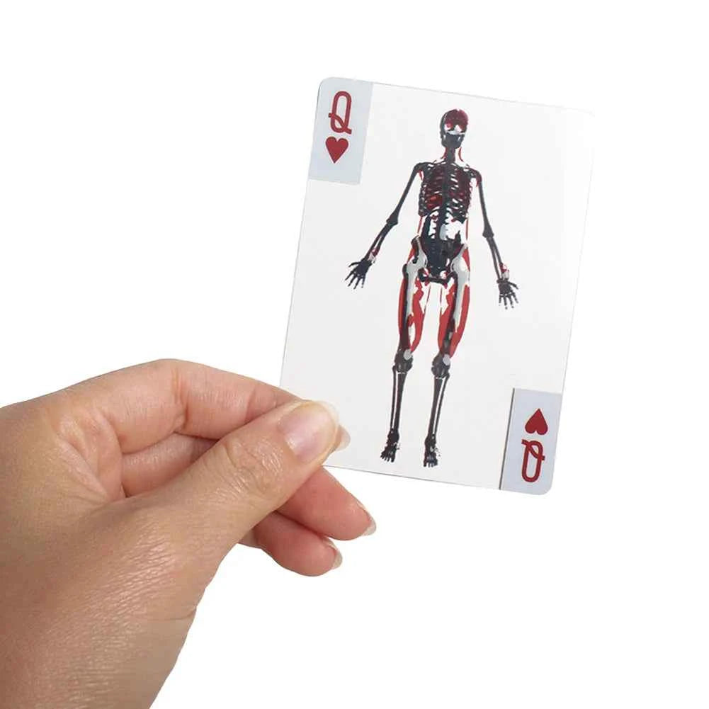 The Body Deck Mannequin Body Deck Skeleton Playing Cards Transparent Anatomy Poker Cards Skeletons X-Ray Designs EducationalGift