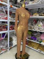 Leopard Print Rhinestone Catsuit Long Sleeve Stage Performance Jumpsuit