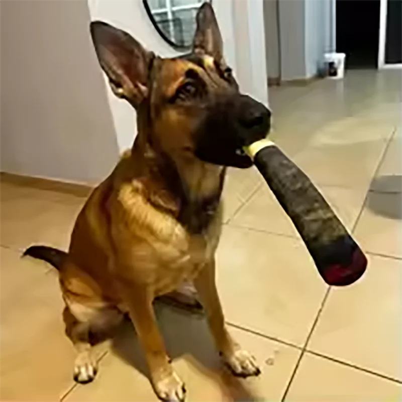 Funny Interactive Dog Toys Cigar Design Plush Squeaky Pet Toys Grinding Teeth Creative Chew Cool Stuffed Gifts for Dog Birthday - Big Tim's Magic Emporium
