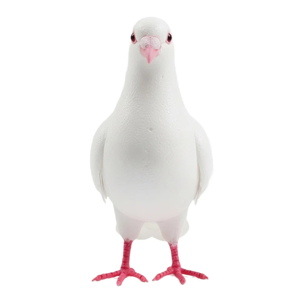 Realistic Foam Pigeon – Handcrafted Stage Magic & Decor Prop - Big Tim's Magic Emporium