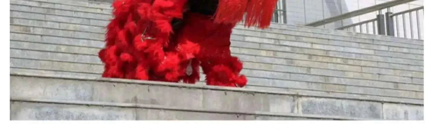 lion dance props complete set of lion dance adult full set of double single