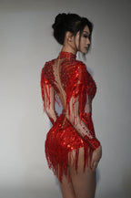 Sparkly Rhinestone Sequin Fringe Stage Bodysuit Performance Dance Leotard