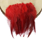 Natural Rooster Craft Feathers Bulk Pack