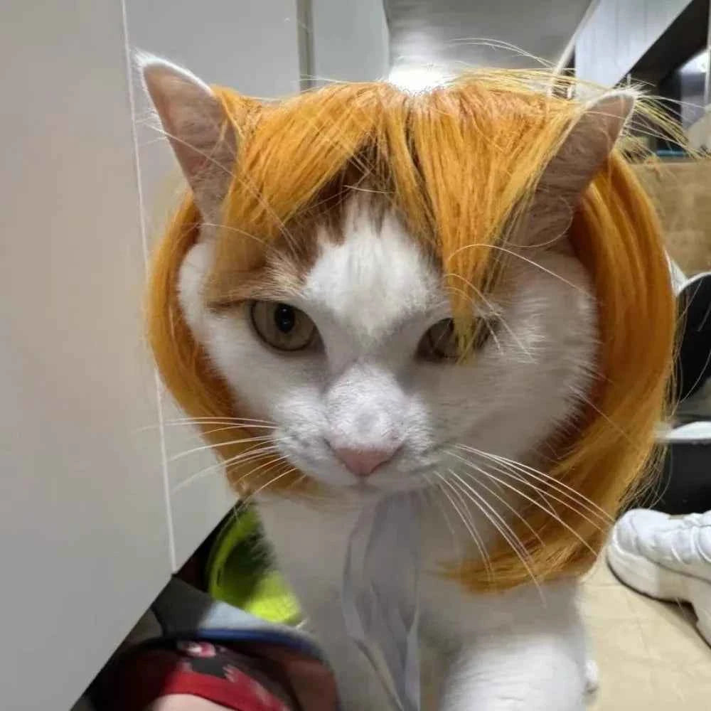 Cute Straight Hair Pet Costume Wig Colorful Funny Cat Cosplay Wig Adjustable Dog Hairpiece Photography