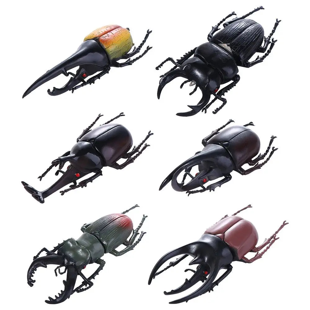 Fake Beetle Joke  Insect  Simulation Animals Special Lifelike Model Insect Model Beetle  Simulation Beetle - Big Tim's Magic Emporium