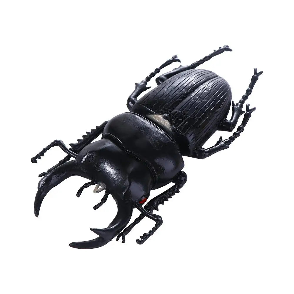 Fake Beetle Joke  Insect  Simulation Animals Special Lifelike Model Insect Model Beetle  Simulation Beetle - Big Tim's Magic Emporium