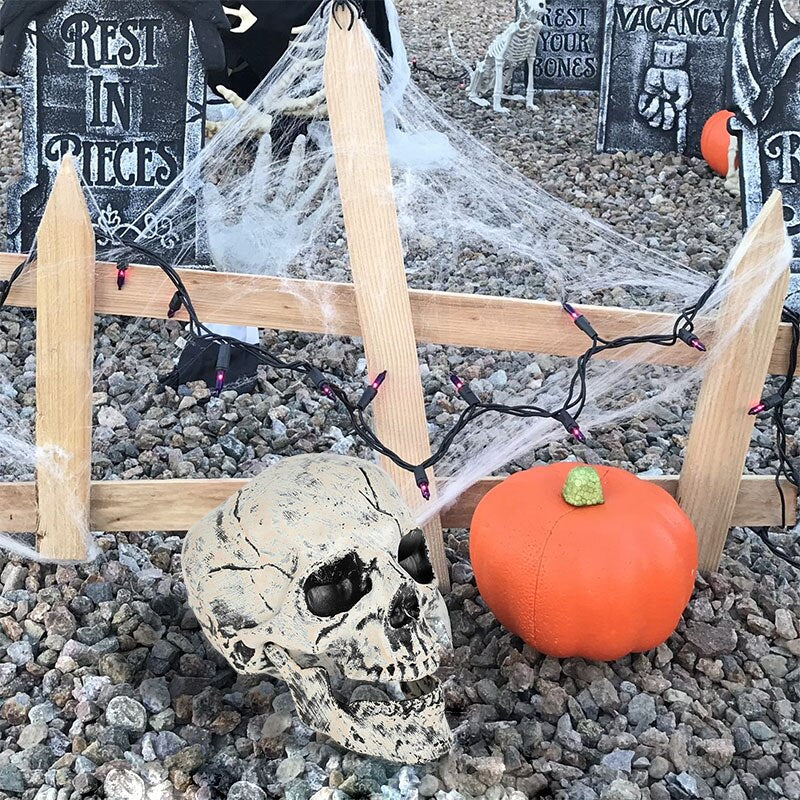 Halloween Skeleton Skull Prop