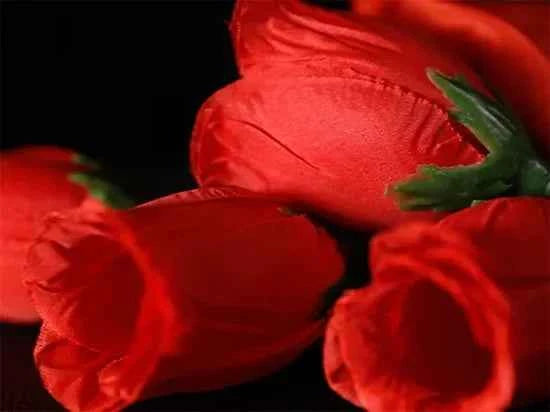 The Rose 2.0 (Red) by Bond Lee Fire Rose 1 To 4 Stage Magic Props Close Up Magic Trick Mentalism Magic Illusion Gimmick Magicain