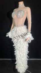 Sparkly White Rhinestone & Feather Sheer Mesh Long Evening Gown Stage Costume