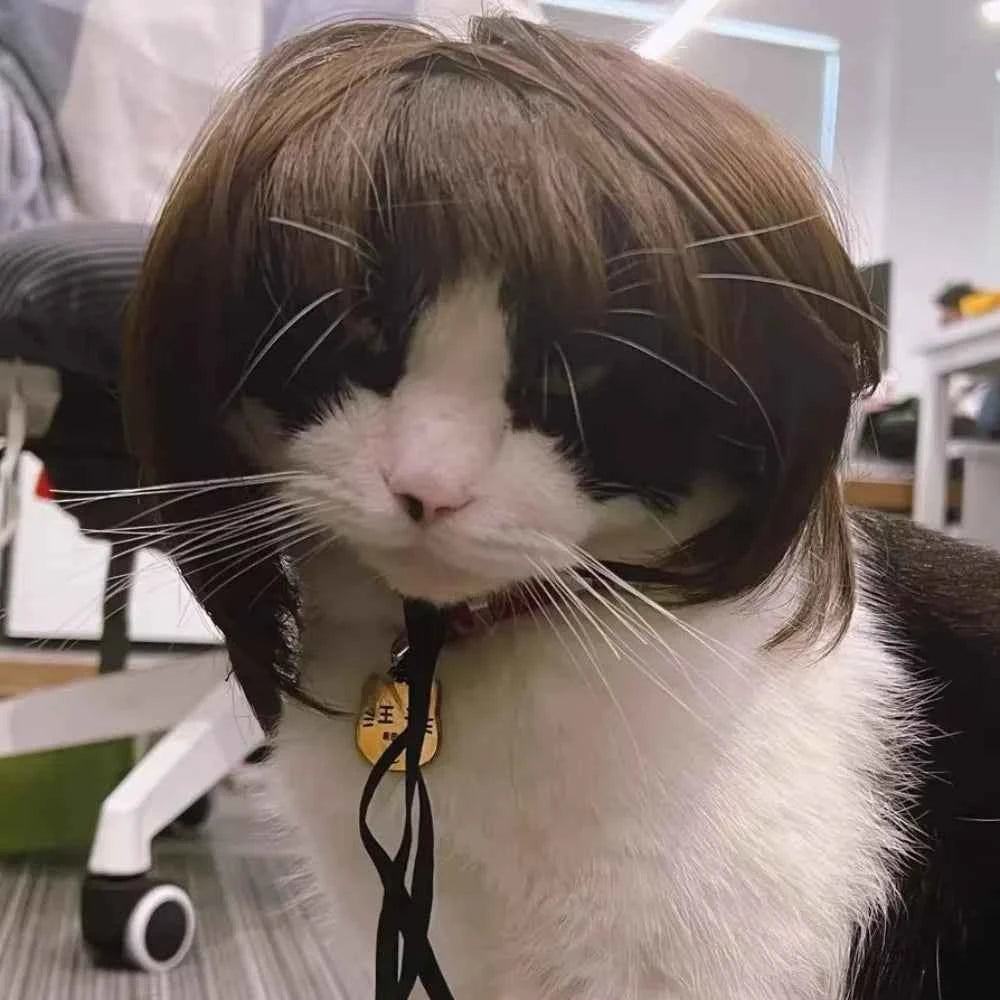 Cute Straight Hair Pet Costume Wig Colorful Funny Cat Cosplay Wig Adjustable Dog Hairpiece Photography