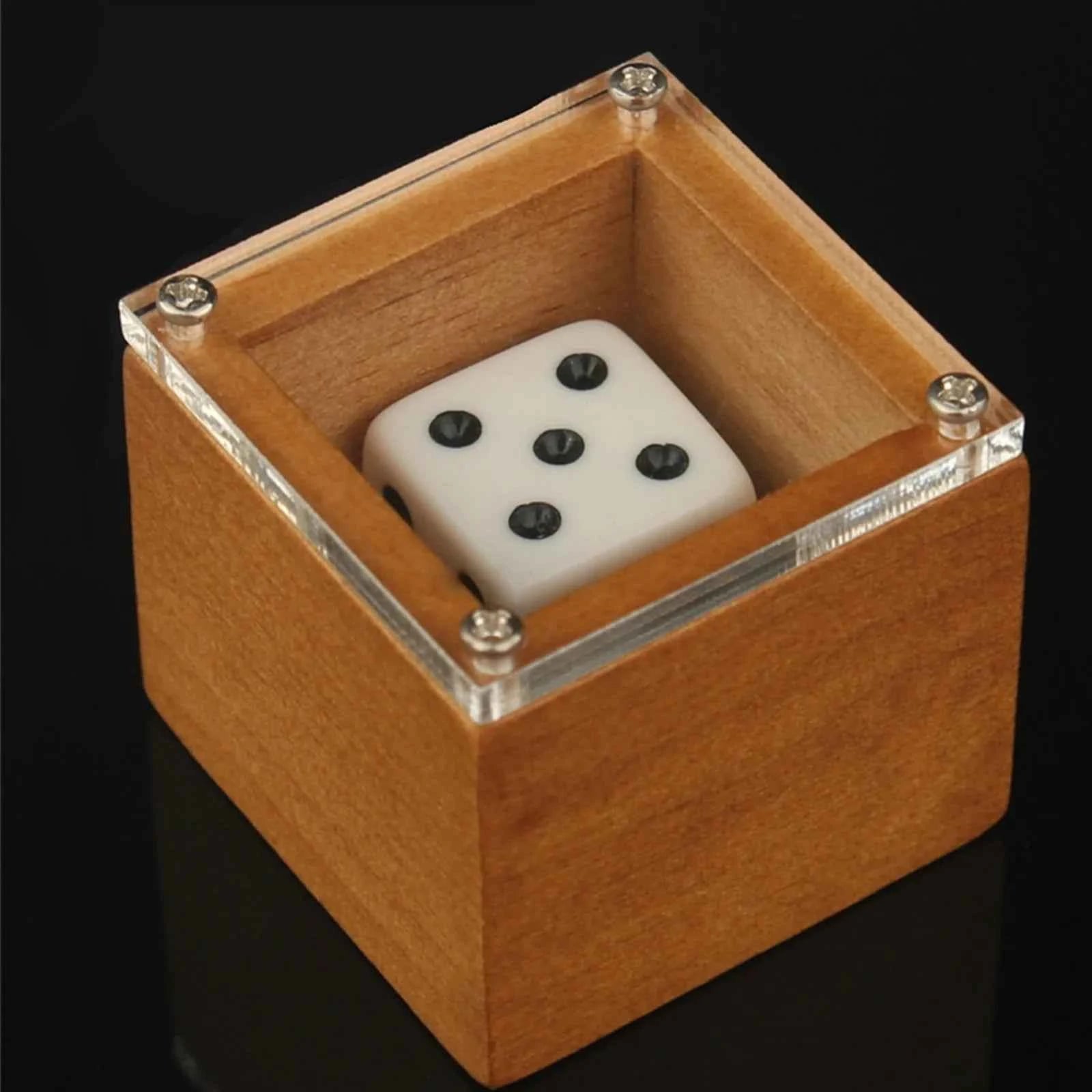 Magic Dice Magic Props Dice Trick Dot Number Change Dice Magic Stage Illusion Props Toys For Kids Adults - Big Tim's Magic Emporium