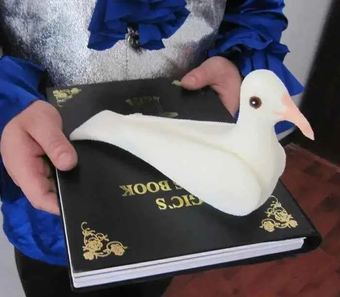 Dove From Fire Book Fire Magic Stage Magic Tricks Props Professional Magician Magia Illusion Party Magic Show