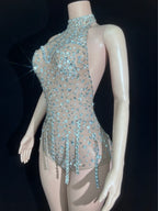Silver Crystal Halter Illusion Bodysuit Sparkly Backless Rhinestone Stage Leotard