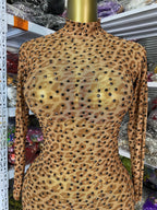 Leopard Print Rhinestone Catsuit Long Sleeve Stage Performance Jumpsuit