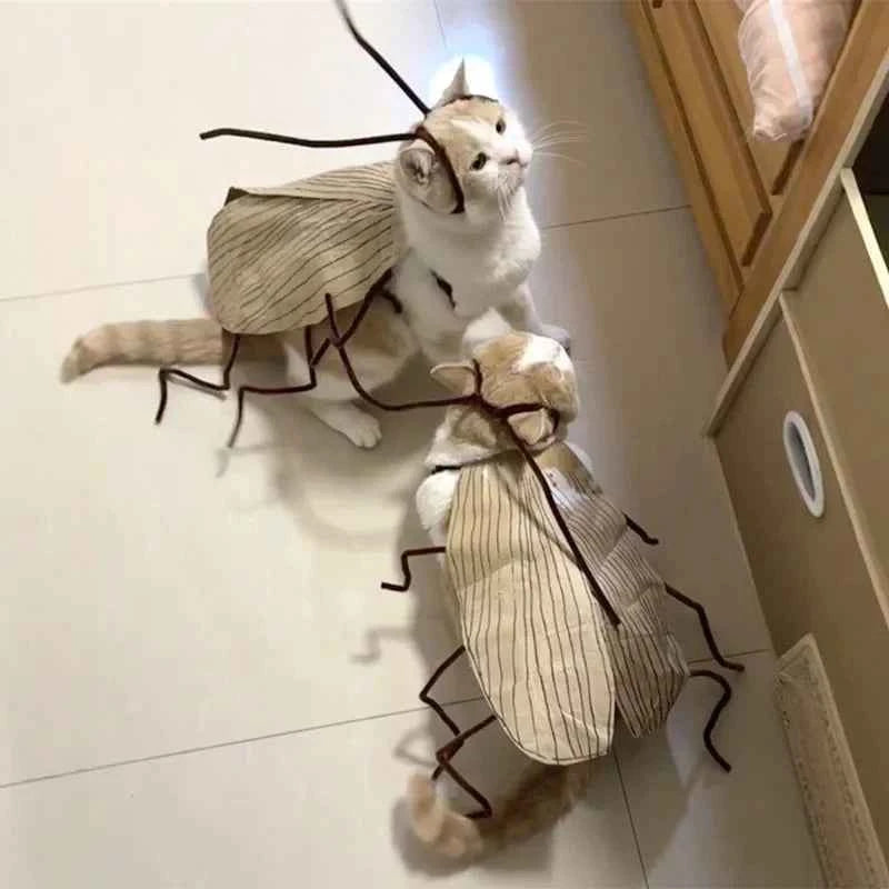 1pack Cat Cockroach Costume Role Play Easy DIY Material Pack Breathable Pet Costume