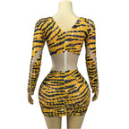 Tiger Print Rhinestone Mesh Long-Sleeve Mini Dress Deep V-Neck Stage Costume