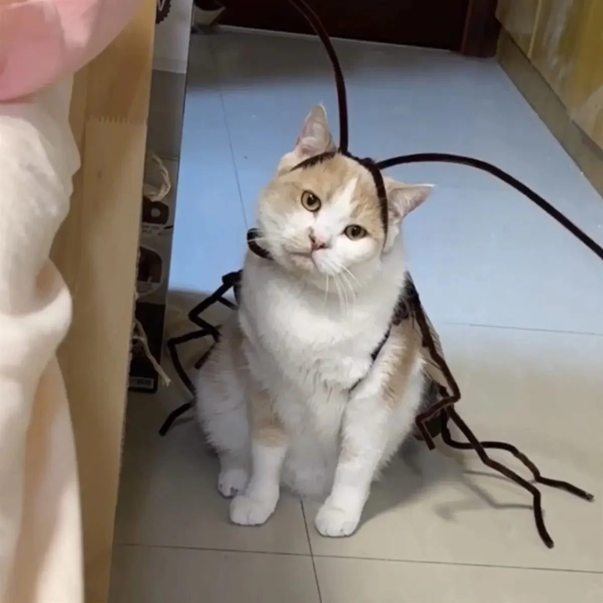1pack Cat Cockroach Costume Role Play Easy DIY Material Pack Breathable Pet Costume