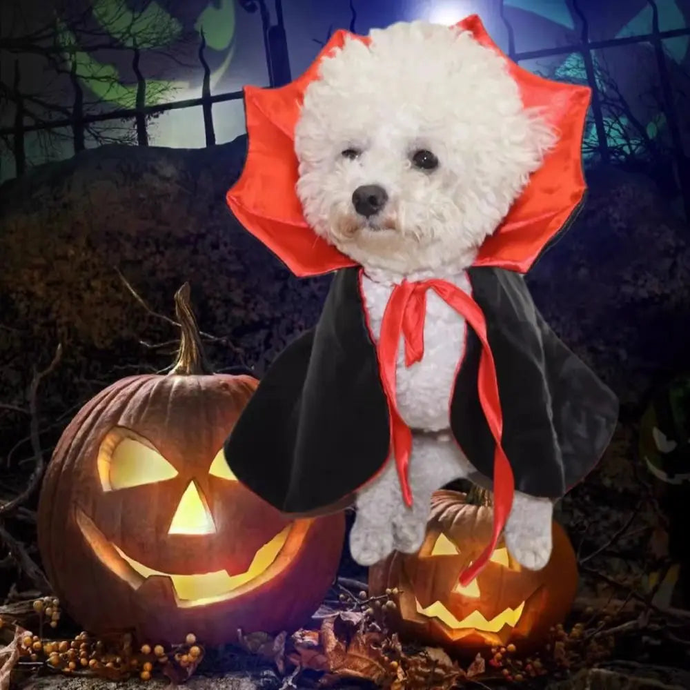 Stand-collar Halloween Pet Costume Adjustable Easy To Wear Cat Cosplay Cloak Soft Fabric Pet Supplies Kitten Puppy Dress Party