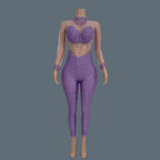 Sparkly Crystal Mesh Sheer Illusion Jumpsuit Stage Catsuit Costume
