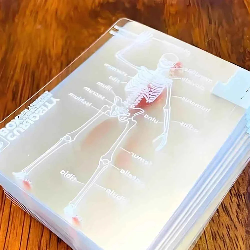 The Body Deck Mannequin Body Deck Skeleton Playing Cards Transparent Anatomy Poker Cards Skeletons X-Ray Designs EducationalGift