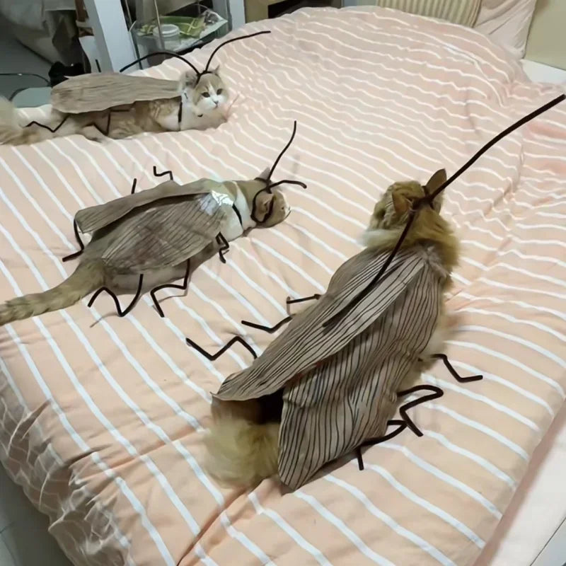 1pack Cat Cockroach Costume Role Play Easy DIY Material Pack Breathable Pet Costume