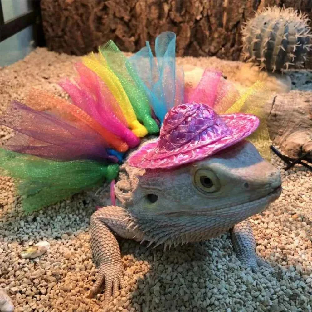 Bearded Dragon Costume Hat for Lizards Tutu Skirt & Reptile Small Pet Costume Outfits Clothes Photo Props for Geckos Hamster Rat