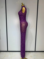 Sparkly Rhinestone Sleeveless Maxi Long Dress See-Through Sheer Mesh Stage Outfit