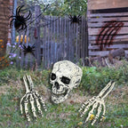 Halloween Skeleton Skull Prop