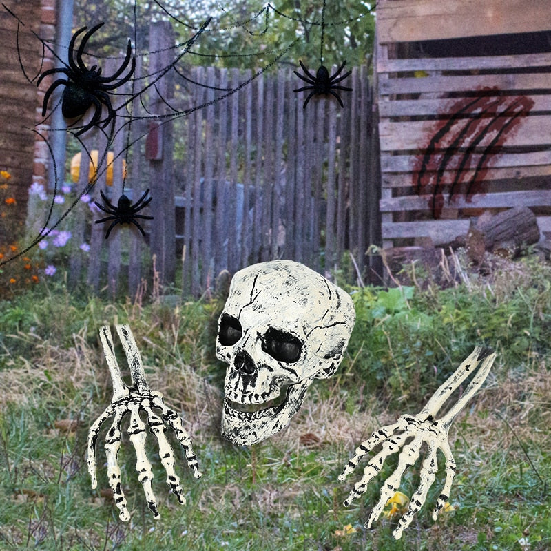 Halloween Skeleton Skull Prop