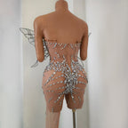 Silver Crystal Mesh 3D Butterfly Rhinestone Wings Jumpsuit