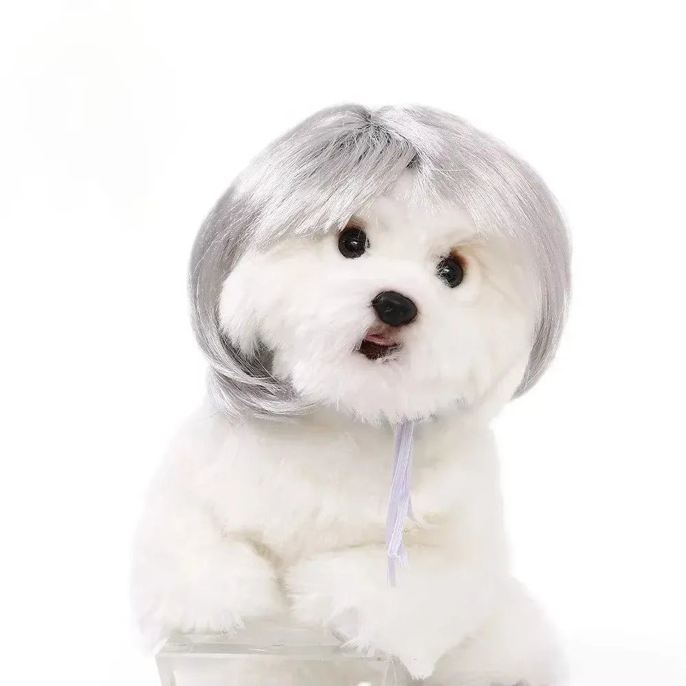 Cute Straight Hair Pet Costume Wig Colorful Funny Cat Cosplay Wig Adjustable Dog Hairpiece Photography
