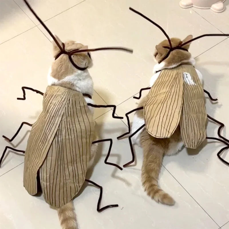 1pack Cat Cockroach Costume Role Play Easy DIY Material Pack Breathable Pet Costume