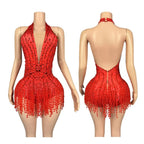 Crystal Rhinestone Fringe Sleeveless Bodysuit & Aerial Dance Leotard Costume