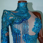 Leopard Sequin Fringe Asymmetrical Bodysuit One-Sleeve Stage Performance Costume