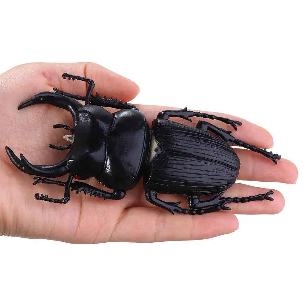 Fake Beetle Joke Insect Simulation Animals Special Lifelike Model Insect Model Beetle Simulation Beetle by Big Tim's Magic Emporium